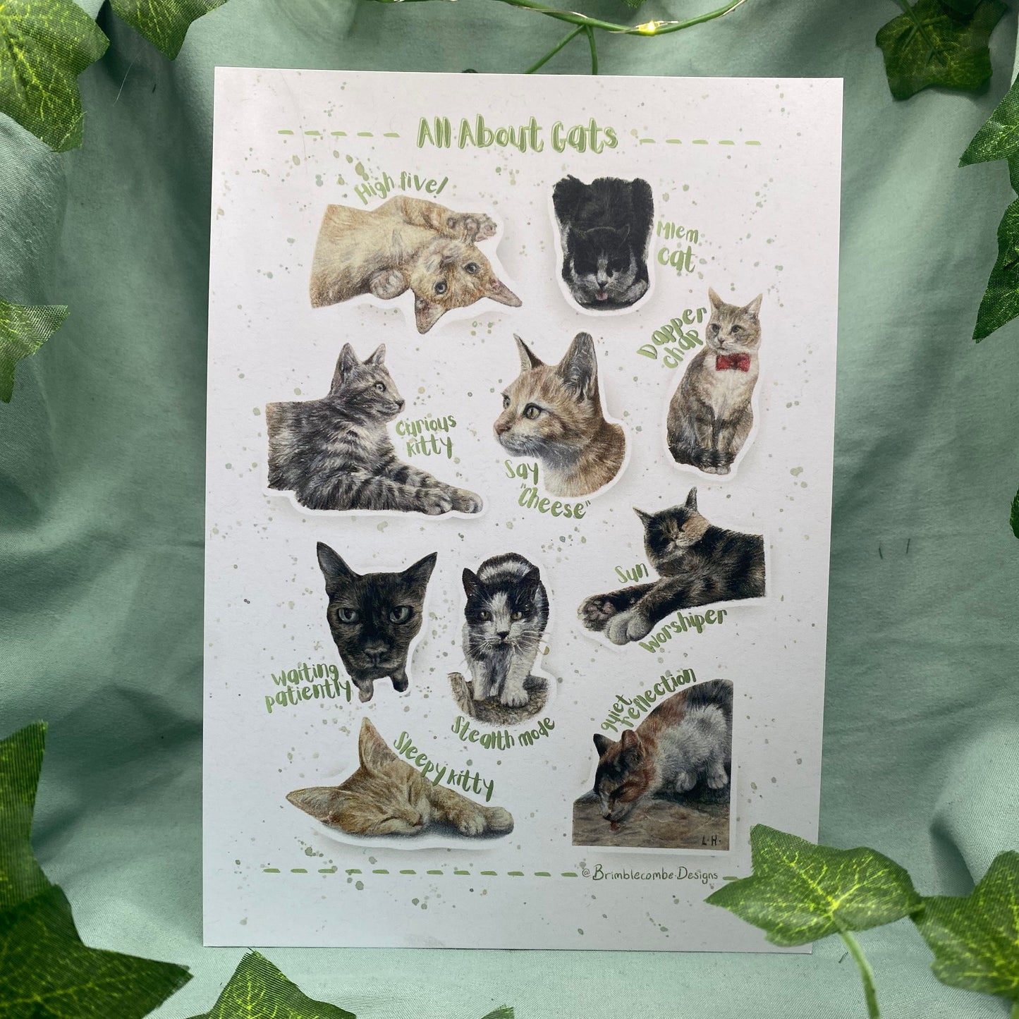 Cats Illustrated A5 Fine Art Print