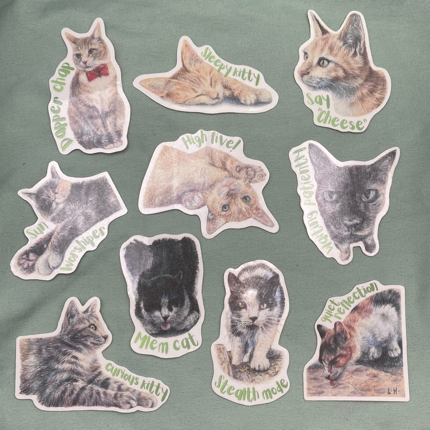 Black and White Cat Illustrated Laminated Sticker | Mlem Cat