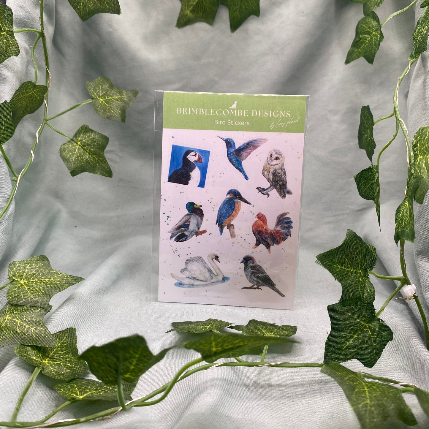 Birds Illustrated Sticker Sheet