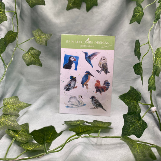 Birds Illustrated Sticker Sheet