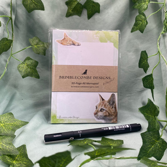 Ginger Kitten Illustrated A6 Memo Notepad
