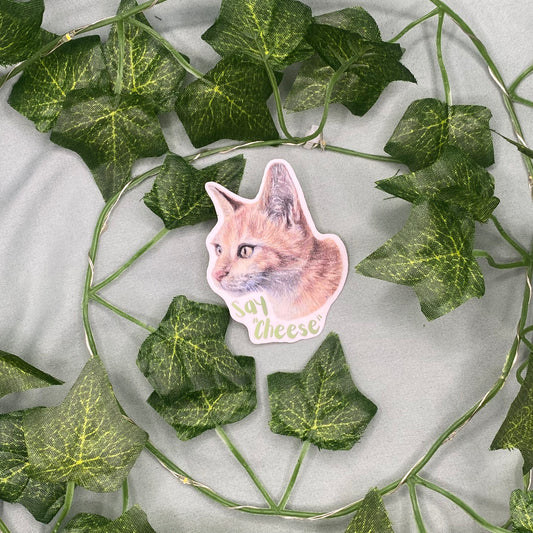 Ginger Kitten Illustrated Laminated Sticker | Say Cheese