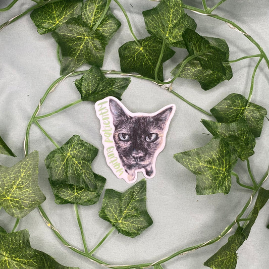 Tortoiseshell Cat Illustrated Laminated Sticker | Waiting Patiently