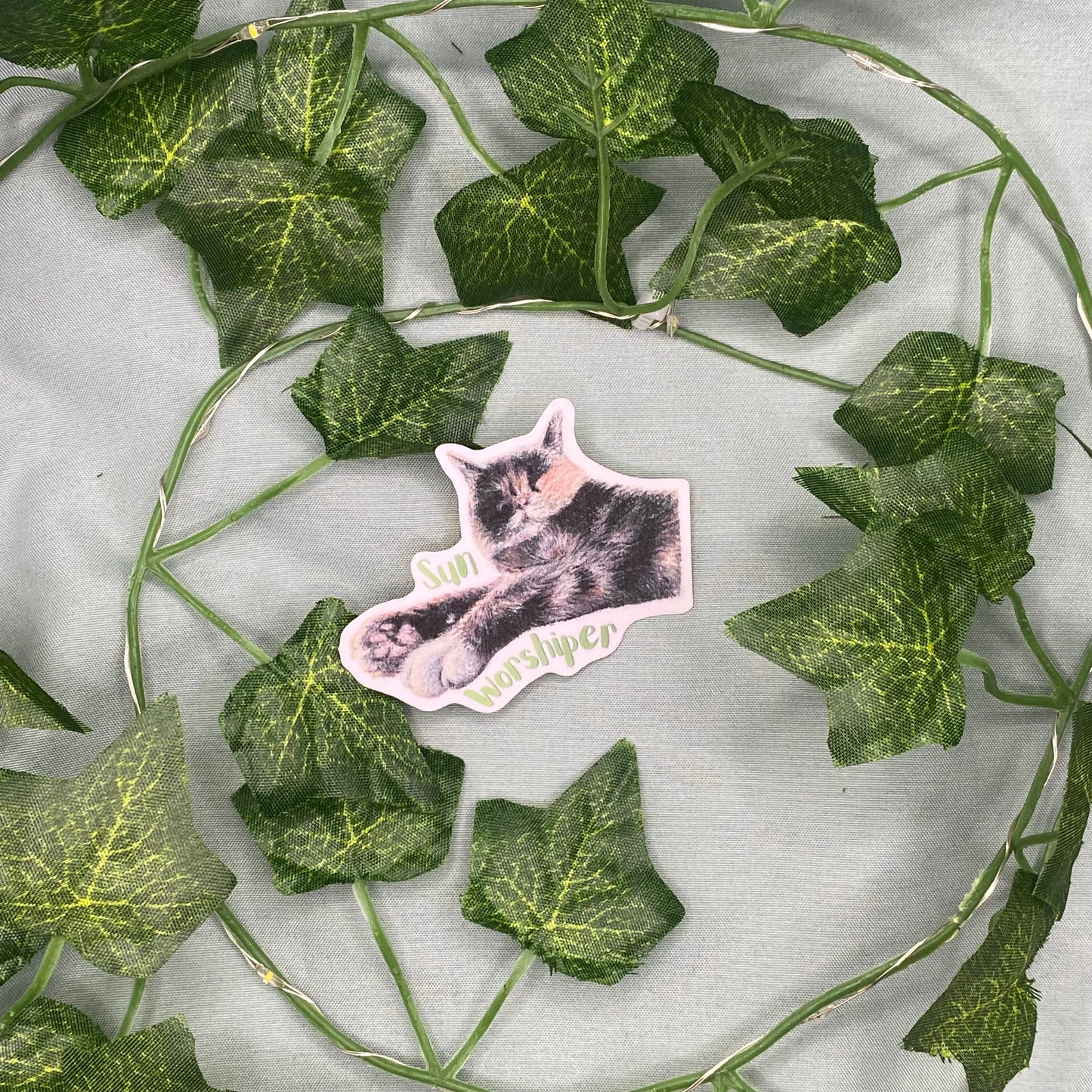 Sleepy Cat Illustrated Laminated Sticker | Sun Worshiper