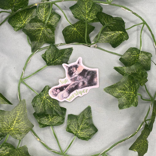 Sleepy Cat Illustrated Laminated Sticker | Sun Worshiper