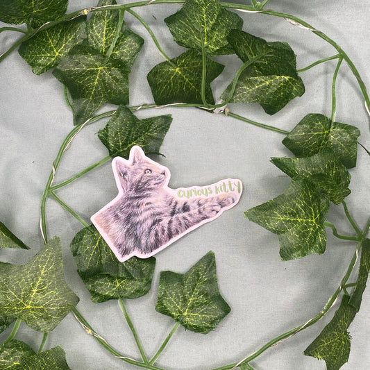 Curious Cat Illustrated Laminated Sticker | Curious Kitty