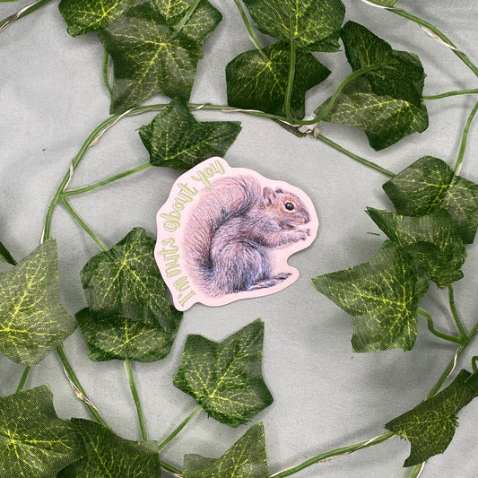 Squirrel Illustrated Laminated Sticker | I'm Nuts About You