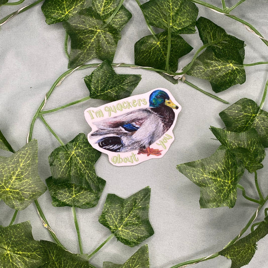 Duck Illustrated Laminated Sticker | I'm Quackers About You