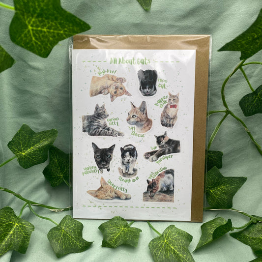 All About Cats Illustrated Greetings Card